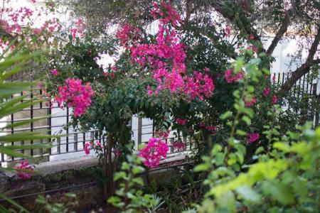 אתונה Glyfada Riviera Home מראה חיצוני תמונה