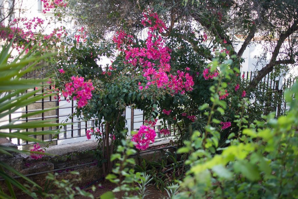 אתונה Glyfada Riviera Home מראה חיצוני תמונה